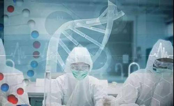 用头发做亲子鉴定需要注意哪些问题