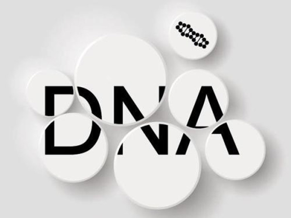 DNA亲子鉴定的种类有哪些