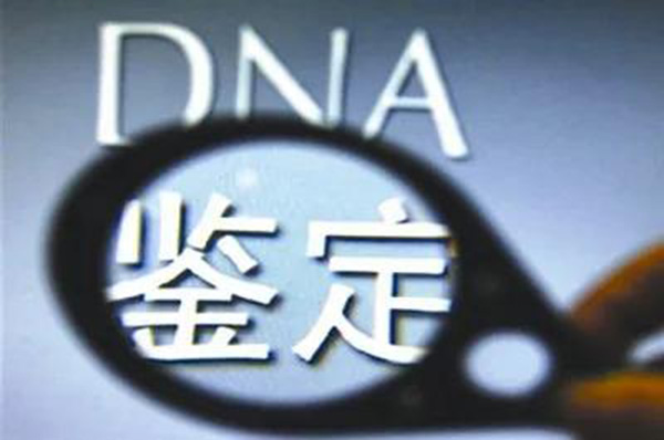 DNA与RNA两者之间有哪些不同
