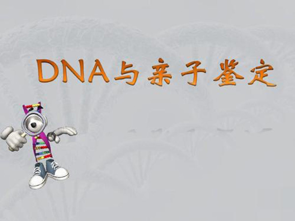 DNA亲子鉴定的正确操作流程有哪些